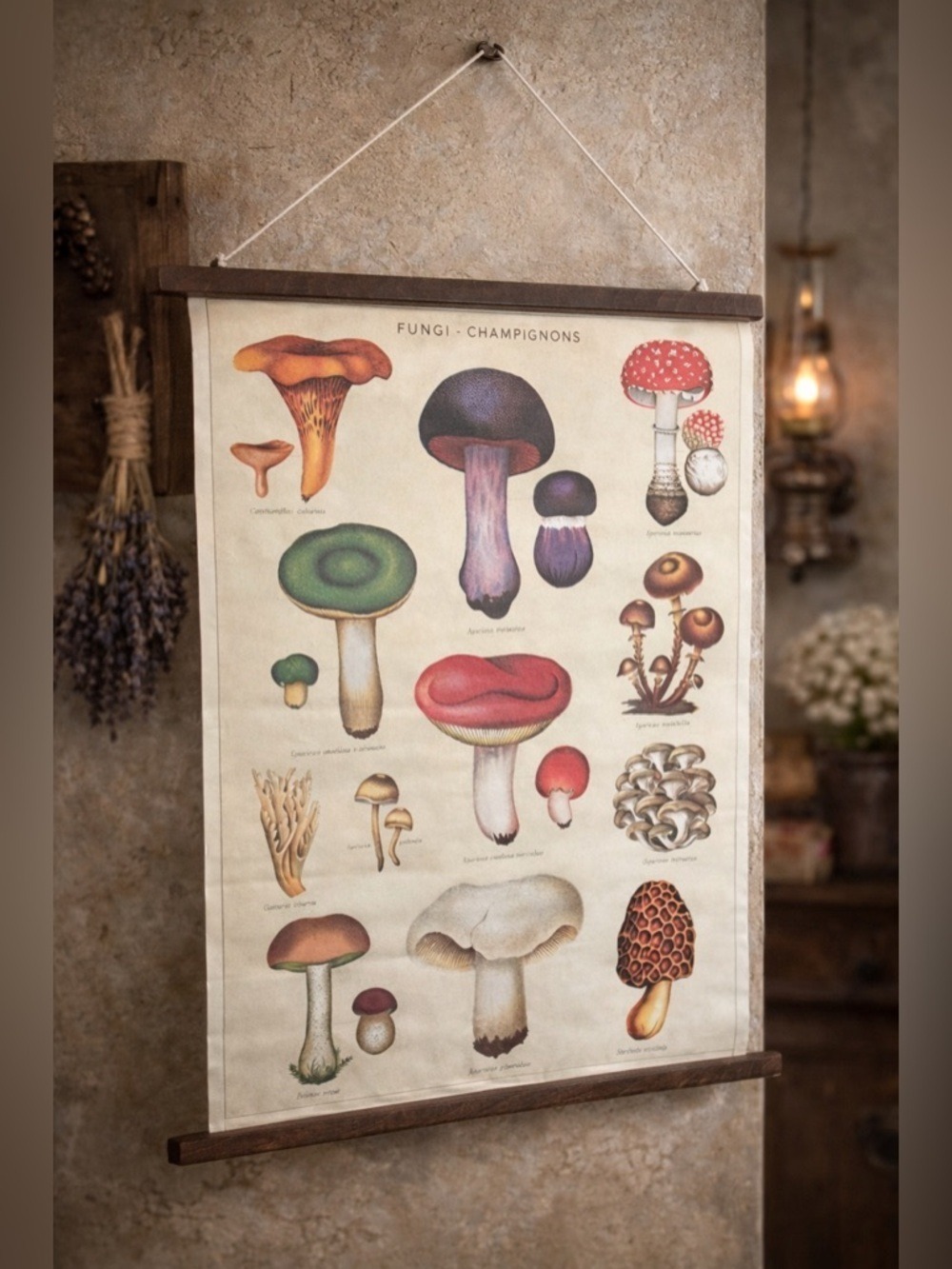 🍄 Vintage Mushroom Chart Wall Hanging • Botanical Fungi Illustration • Education